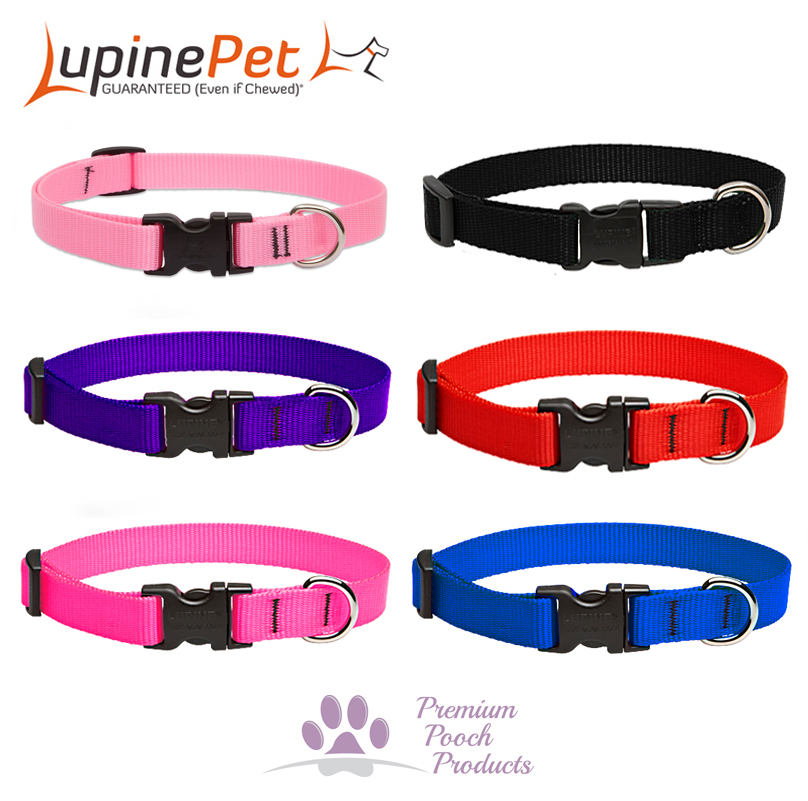 premium pooch products